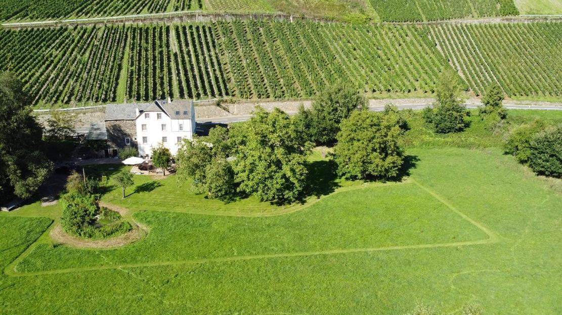Livi'S Landhaus Neumagen-Dhron Exteriér fotografie